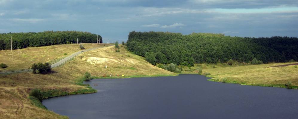 
            Фотография Калины-Дубравы