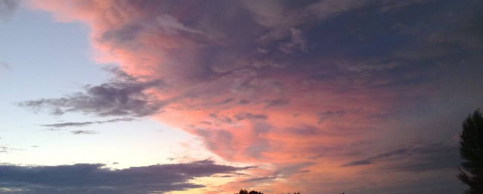 
            Фотография Плотвы