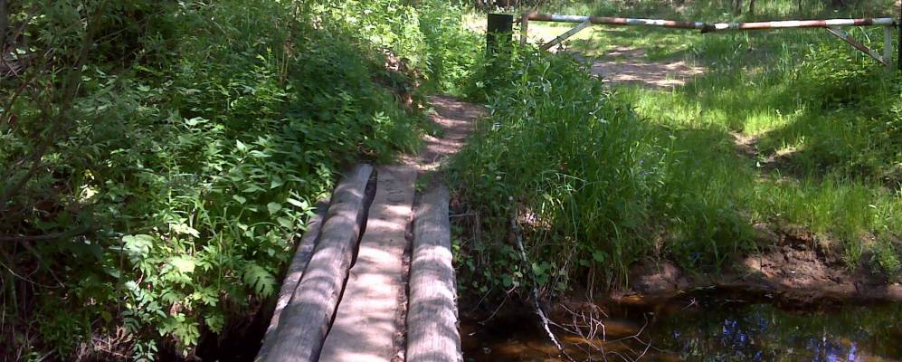 
            Фотография Владимировки