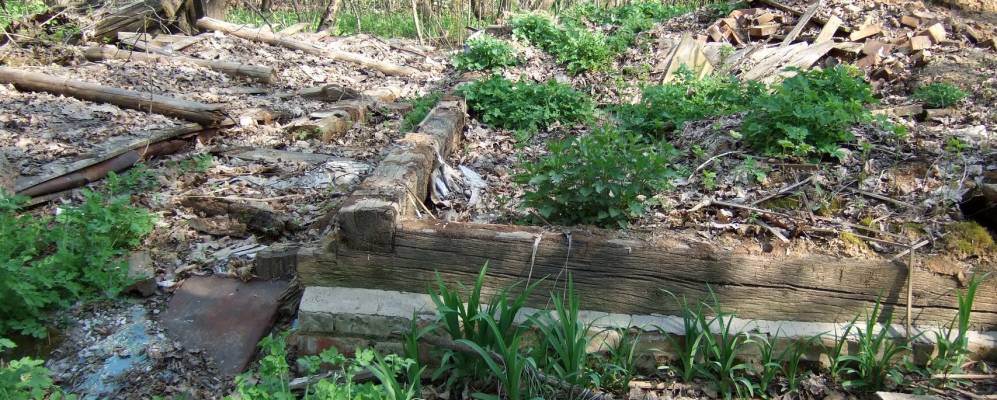 
            Фотография Каваки