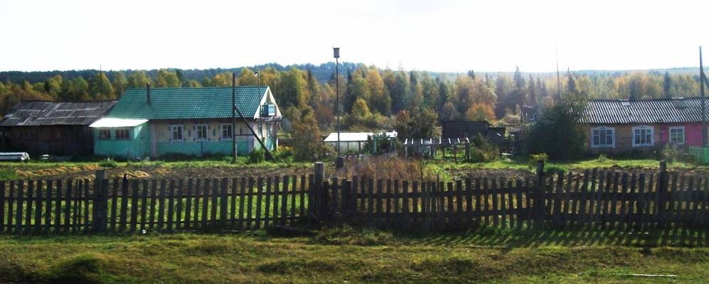 
            Фотография Кудельки