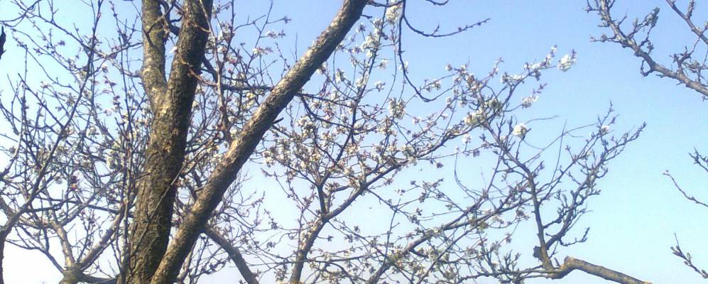 
            Фотография Цебриково