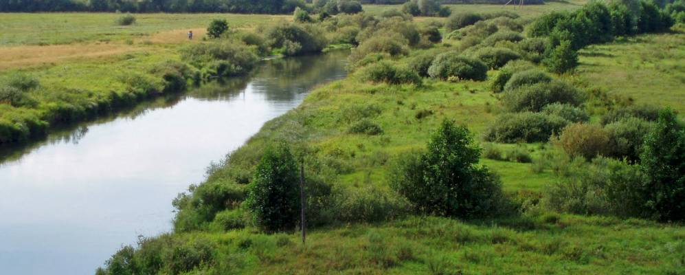 
            Фотография Борисоглеба