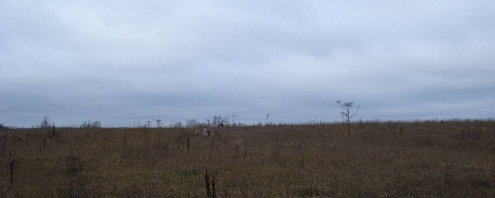 
            Фотография Ульево