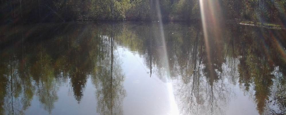 
            Фотография Левыкино