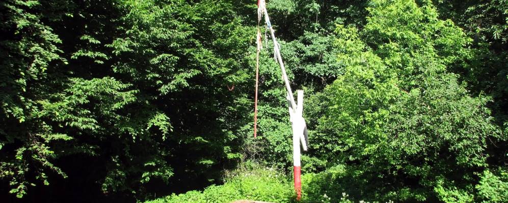 Фотография Вишни