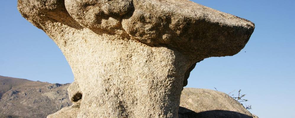 
            Фотография Бустарвьехо