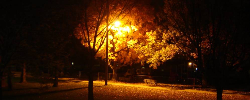 
            Фотография Сошаети Хилла