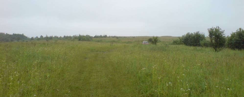 
            Фотография Хоминой