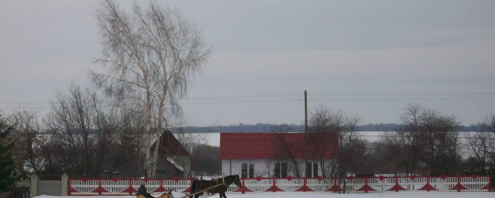 
            Фотография Коньшино