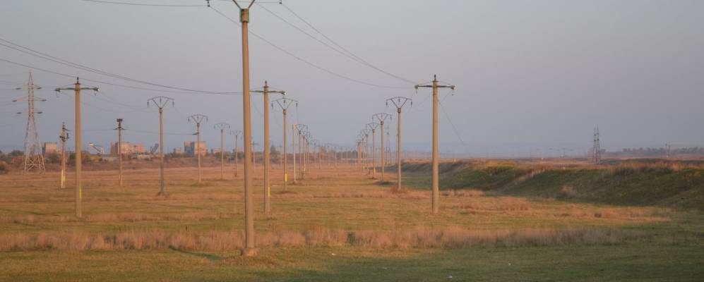 
            Фотография Холбокы