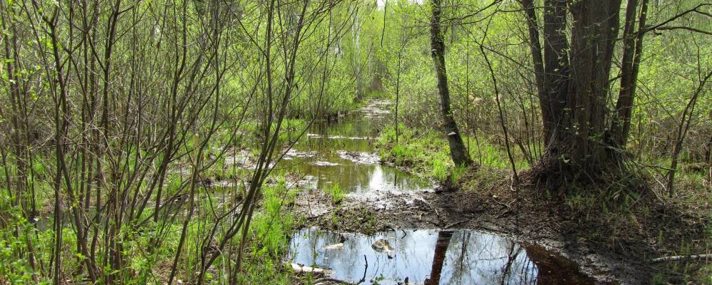 
            Фотография Шестимирово