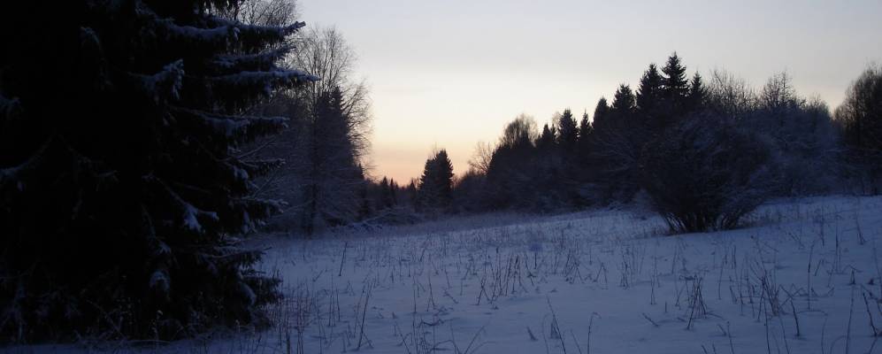 
            Фотография Алекино