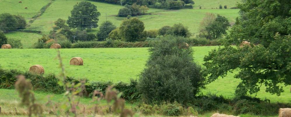 
            Фотография Ла Крузиль