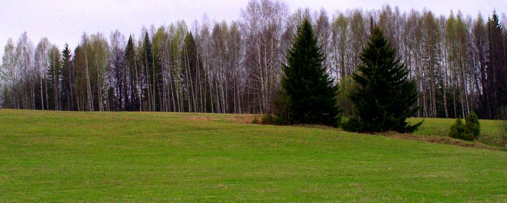 
            Фотография Луговой