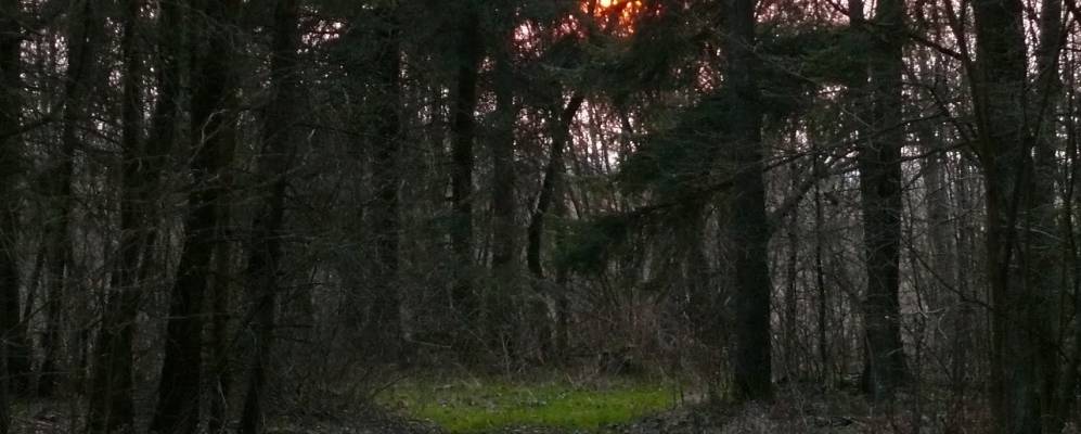 Фотография Ходорков