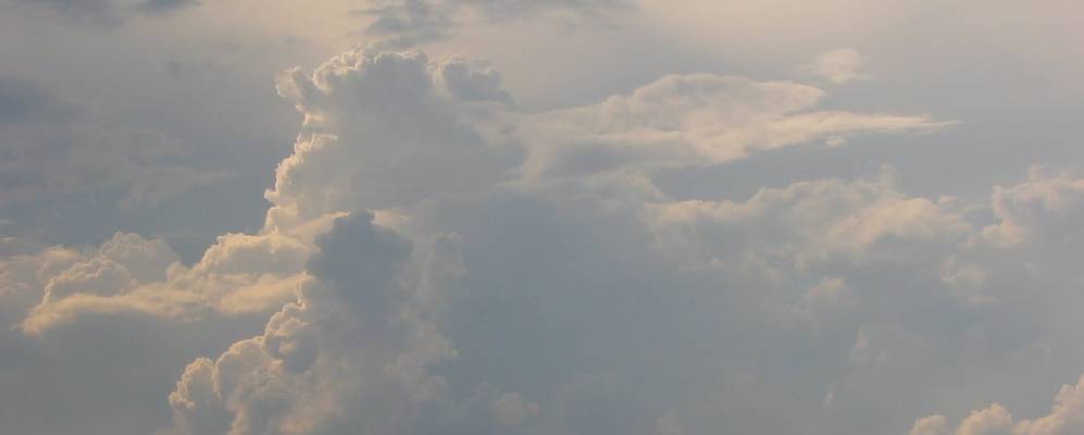 Фотография Брусового