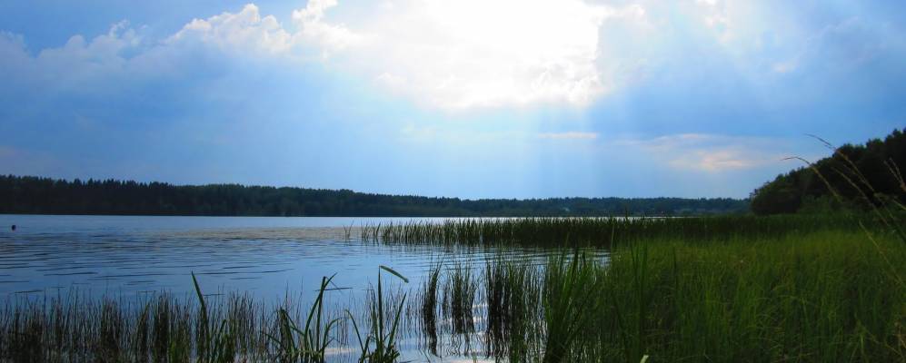 
            Фотография Домашковичи