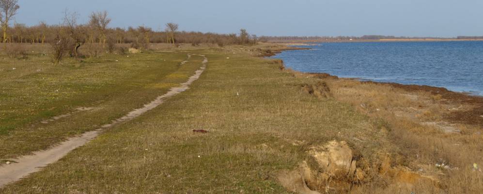 
            Фотография Лиманского