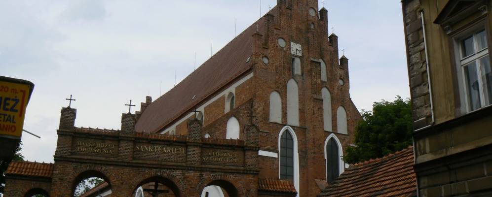 
            Фотография Шамотулы