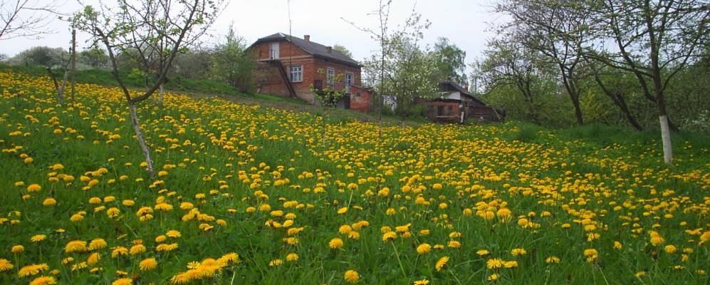 
            Фотография Миролюбовки