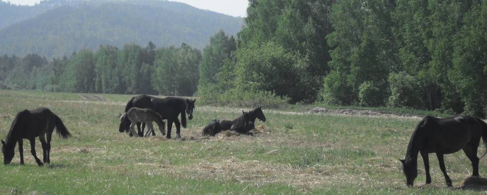 
            Фотография Гурулево