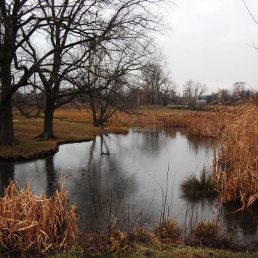 Озеряновка