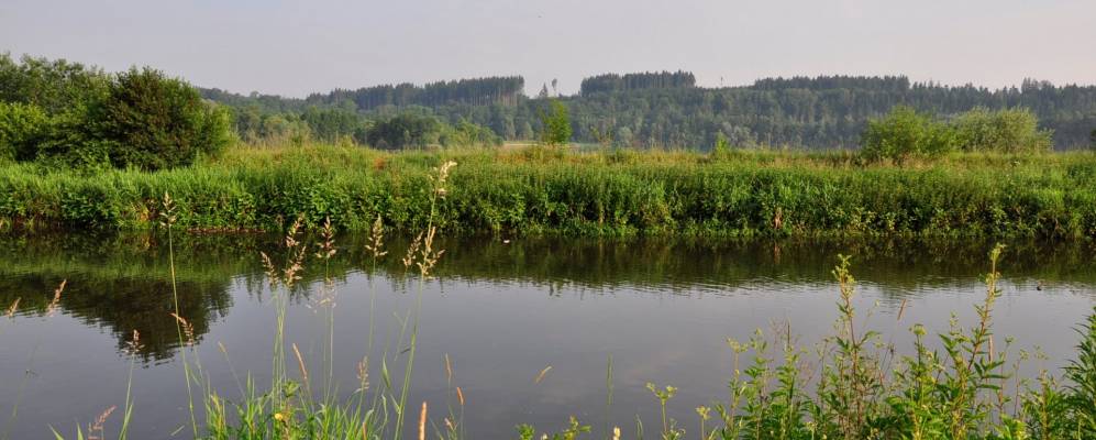 
            Фотография Краухенвиза