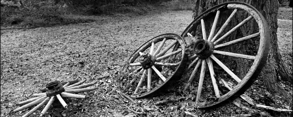 
            Фотография Хичкока