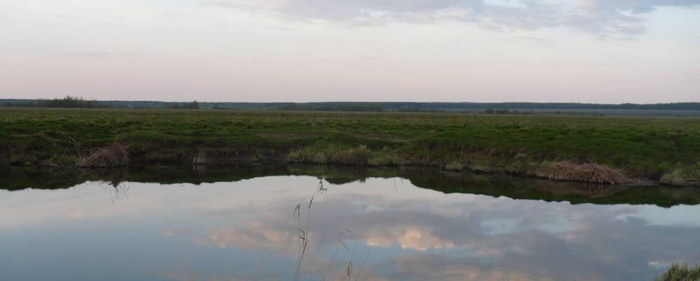 
            Фотография Федоровского