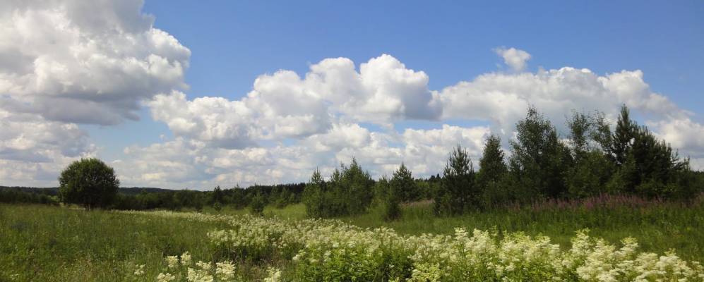 
            Фотография Галино