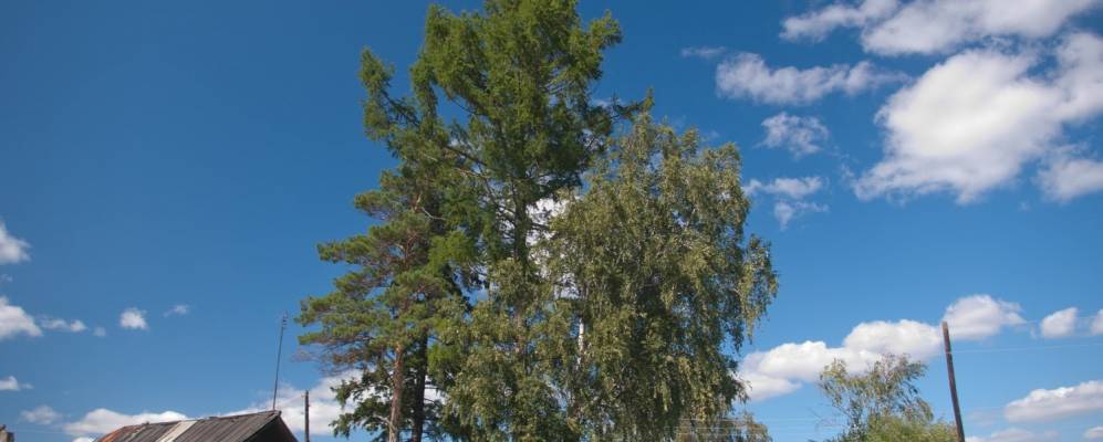 
            Фотография Михайловки