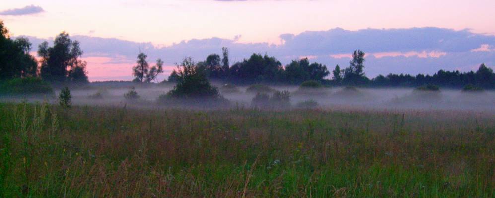 
            Фотография Николаевки