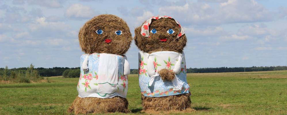 Фотография деревни Залесовичи