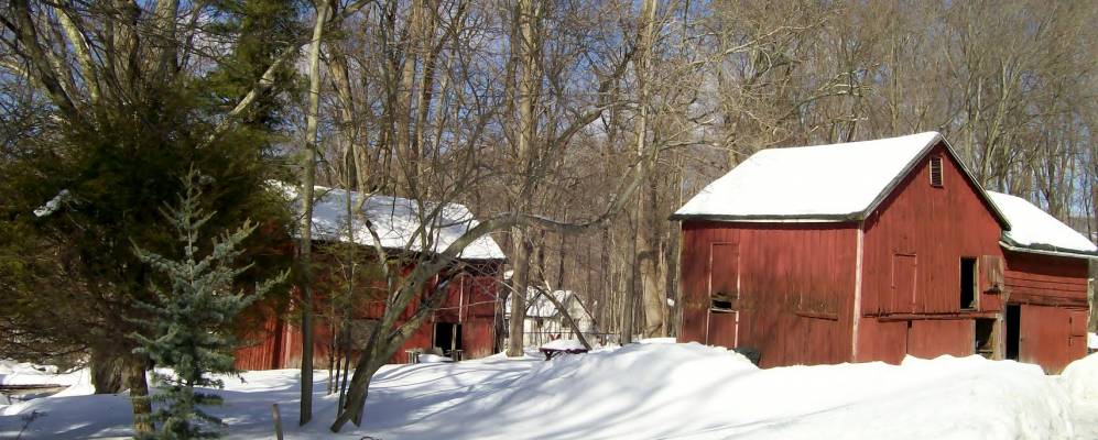 
            Фотография Монтебелло