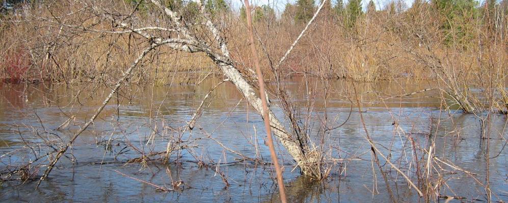 
            Фотография Алексеевки