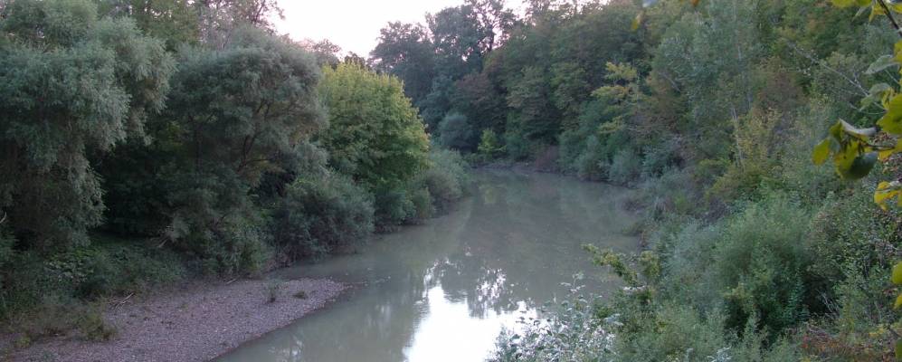 Фотография Захарова