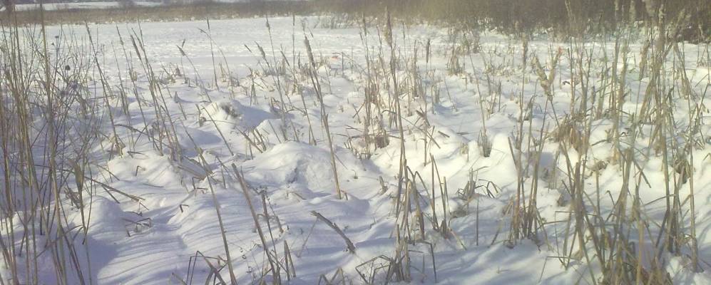 Фотография Дзюбовки