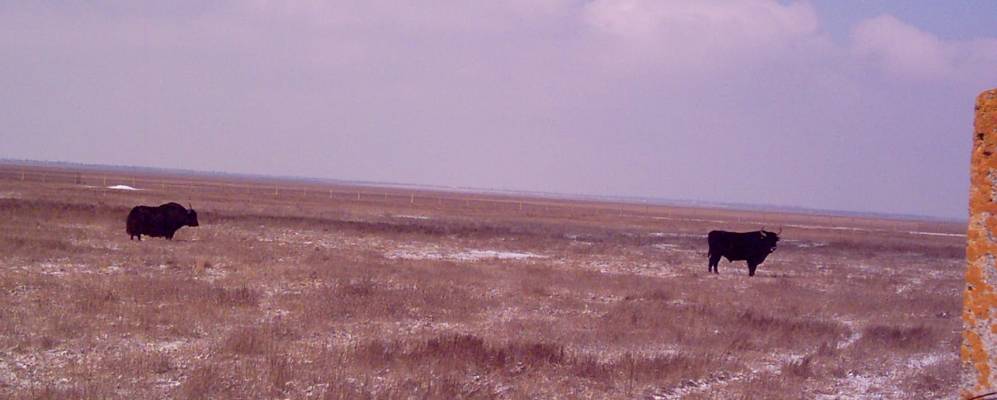 
            Фотография Нового Этапа