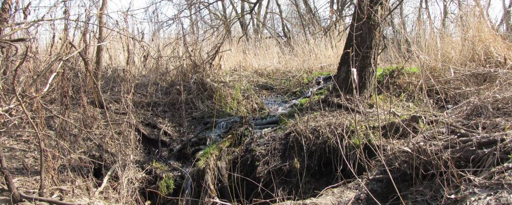 
            Фотография Силипяг