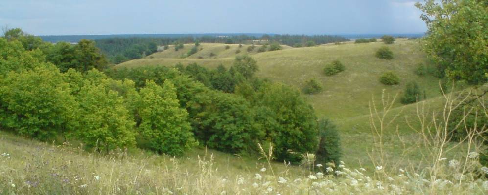 Фотография Калайдинцев