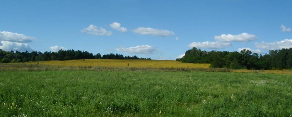 
            Фотография Стрельники