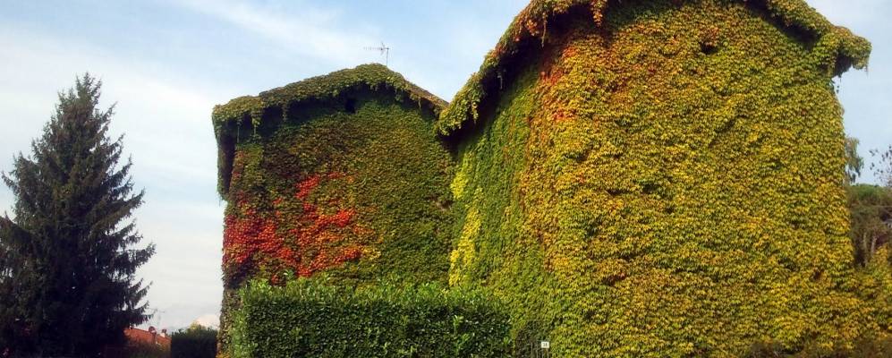 
            Фотография Кастелло ди Брианцы