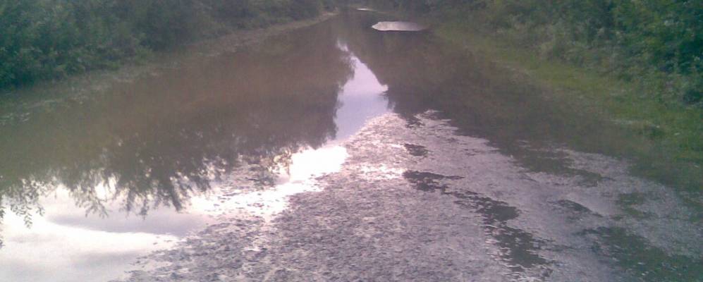 
            Фотография Дибровой