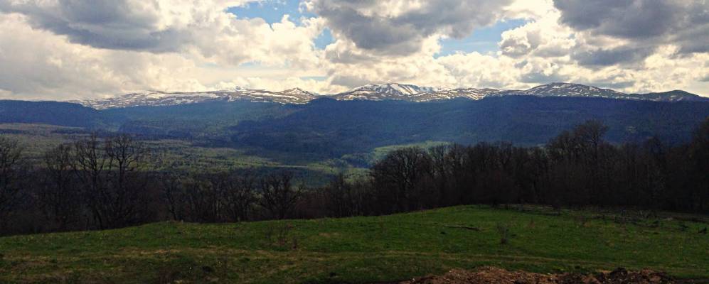 
            Фотография Темнолесской