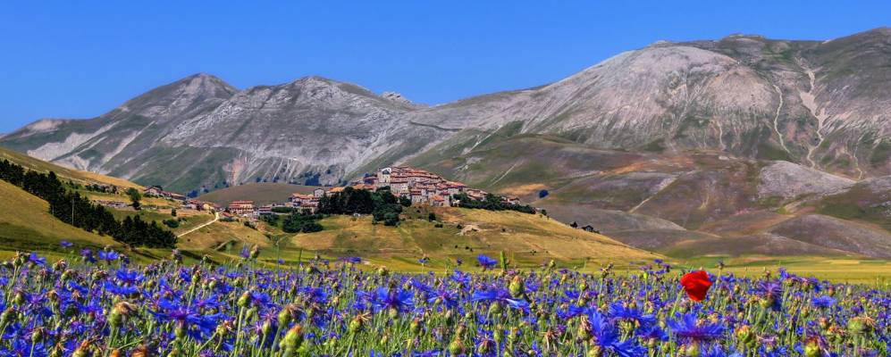 
            Фотография Кастеллуччо