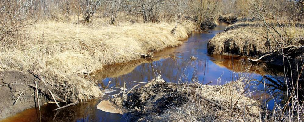 
            Фотография Горки-Заречья