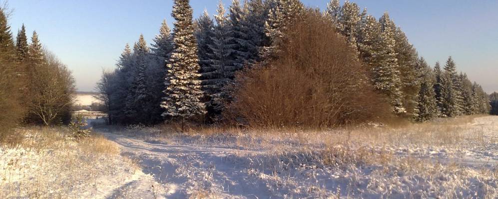 
            Фотография Тепляков