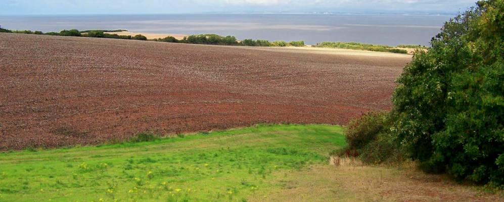 
            Фотография Wedmore