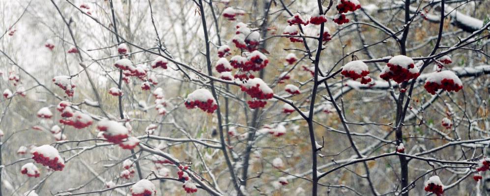 
            Фотография Галанино